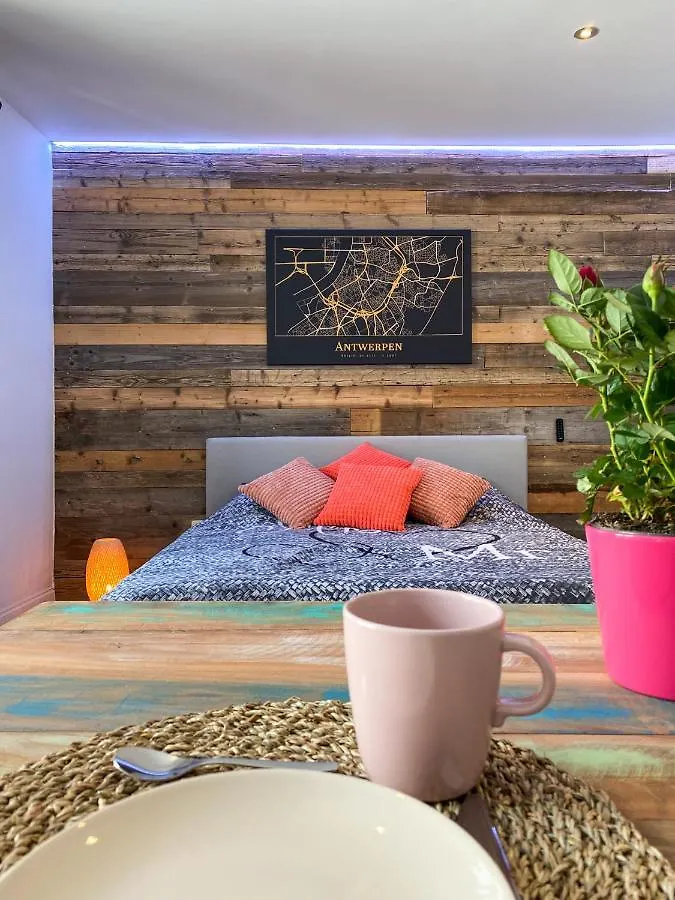 Suite City Center In Quiet Street & Airco Amberes Apartamento