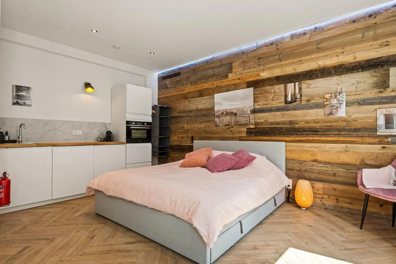 Suite City Center In Quiet Street & Airco Amberes