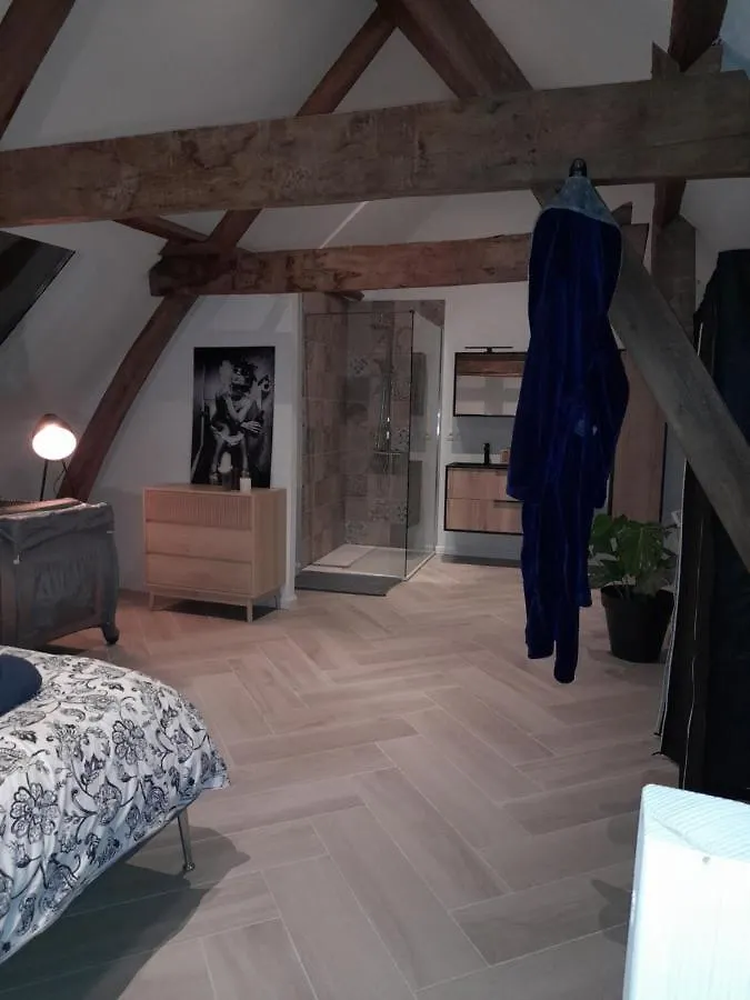 Suite City Center In Quiet Street & Airco Amberes Bélgica