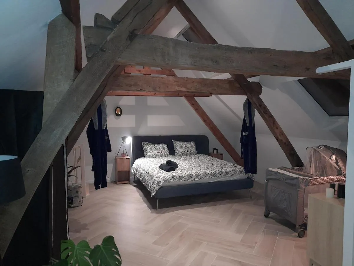 Suite City Center In Quiet Street & Airco Amberes Apartamento